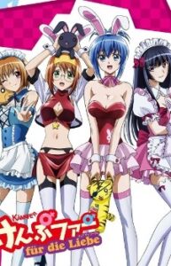 Kämpfer für die Liebe — okładka anime