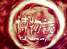Natural History — okładka anime
