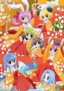 Di Gi Charat Nyo — okładka anime