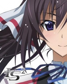 Okładka IS Infinite Stratos 2 Hitonatsu no Omoide z twarzą ciemnowłosej Houki i fragmentem logo serii