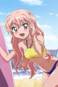 The Familiar of Zero: „Rondo” of Princesses – Seductive Beach — okładka anime