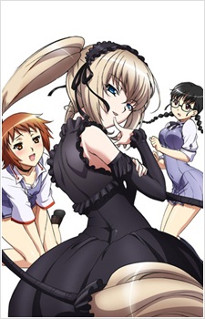 Seikon no Qwaser: Jotei no Shouzou — okładka anime