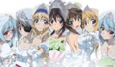 IS: Infinite Stratos 2 - Infinite Wedding — okładka anime
