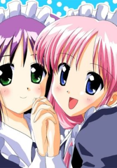 Docchi mo Maid — okładka anime