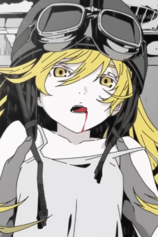 Bakemonogatari PV — okładka anime