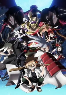 SHAMAN KING FLOWERS — okładka anime