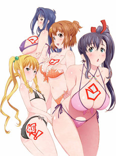 Wanna be the Strongest in the World! — okładka anime