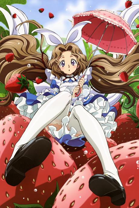 Ouran High School Host Club — okładka anime