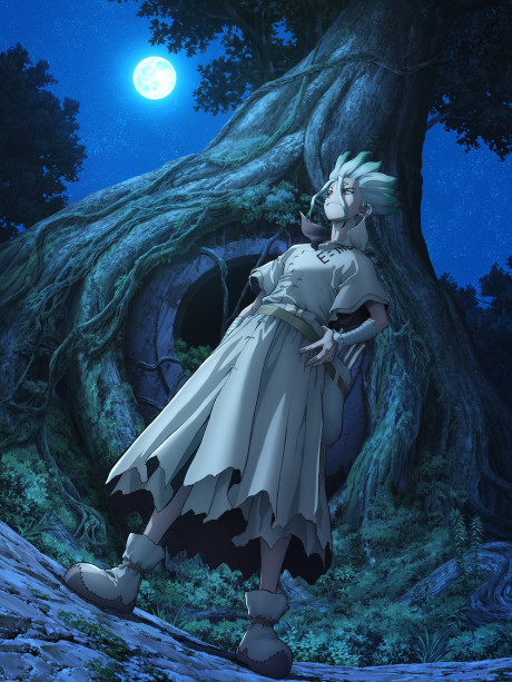Dr. STONE New World — okładka anime