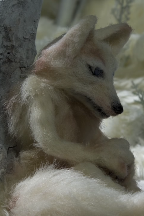 BEASTARS — okładka anime