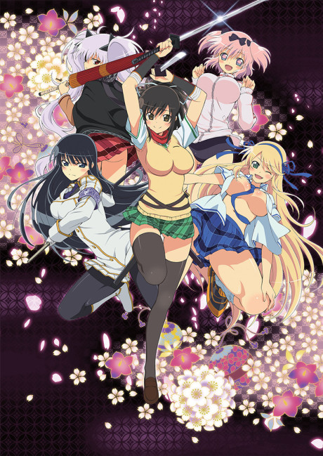 Queen's Blade: The Exiled Virgin — okładka anime