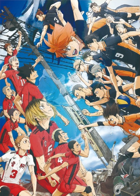 HAIKYU!! The Dumpster Battle — okładka anime