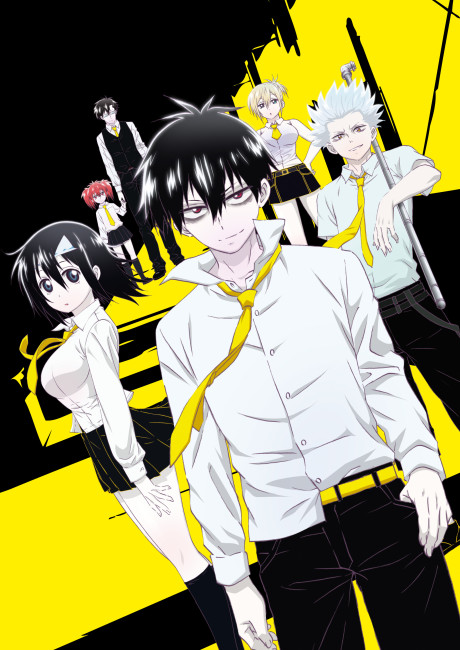 Vampire Knight — okładka anime