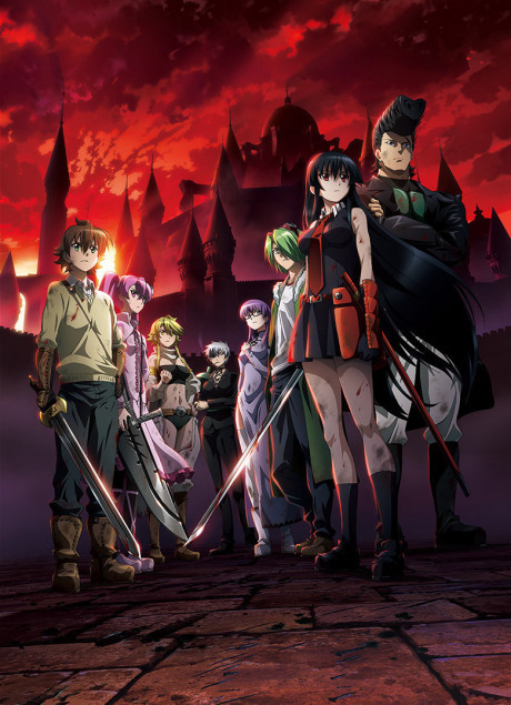 Akame ga Kill! — okładka anime
