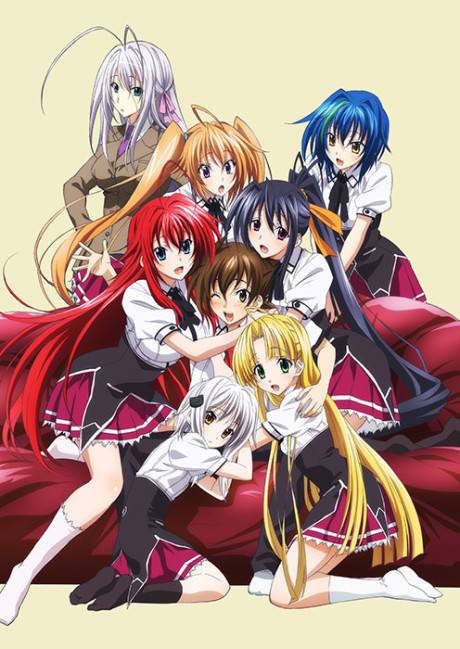 The Testament of Sister New Devil BURST — okładka anime