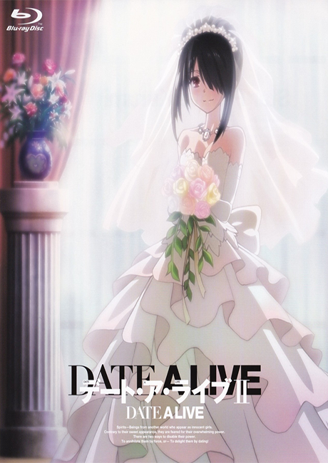 Hyperdimension Neptunia — okładka anime