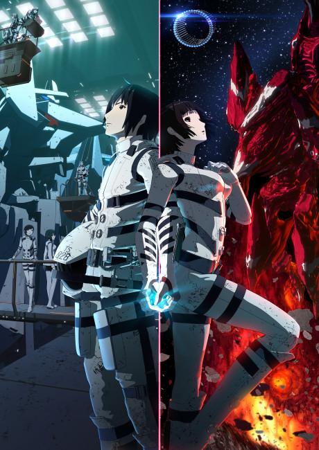 Bodacious Space Pirates: Abyss of Hyperspace — okładka anime