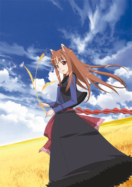 How a Realist Hero Rebuilt the Kingdom — okładka anime
