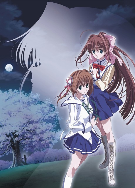 Rewrite: Moon and Terra — okładka anime
