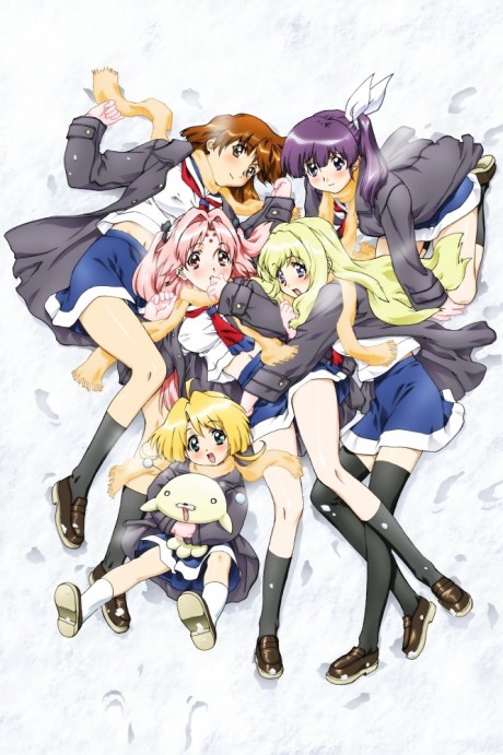 The Café Terrace and Its Goddesses Season 2 — okładka anime