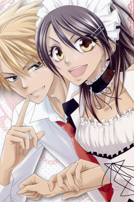 S.A: Special A — okładka anime