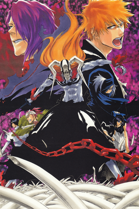 Bleach the Movie: The DiamondDust Rebellion — okładka anime