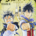 Reign of the Seven Spellblades — okładka anime