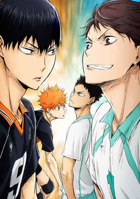 HAIKYU!! The Dumpster Battle — okładka anime