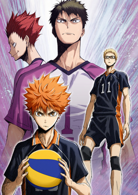 HAIKYU!! The Dumpster Battle — okładka anime