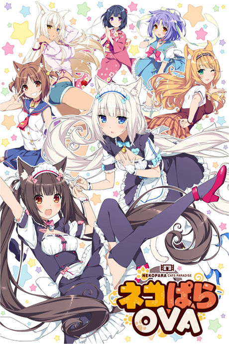 Tayutama: Kiss on my Deity — okładka anime