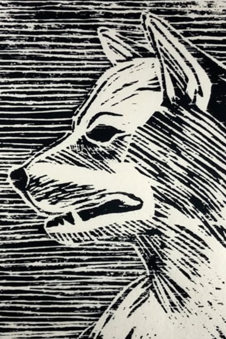 a dog
