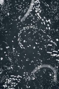 a4 microcosm okladka