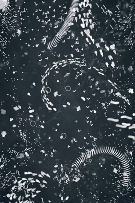 a4 microcosm okladka