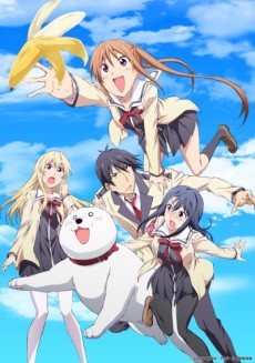aho girl okladka