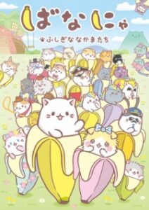 Bananya and the Curious Bunch — okładka anime