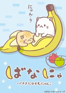 Okładka anime Bananya