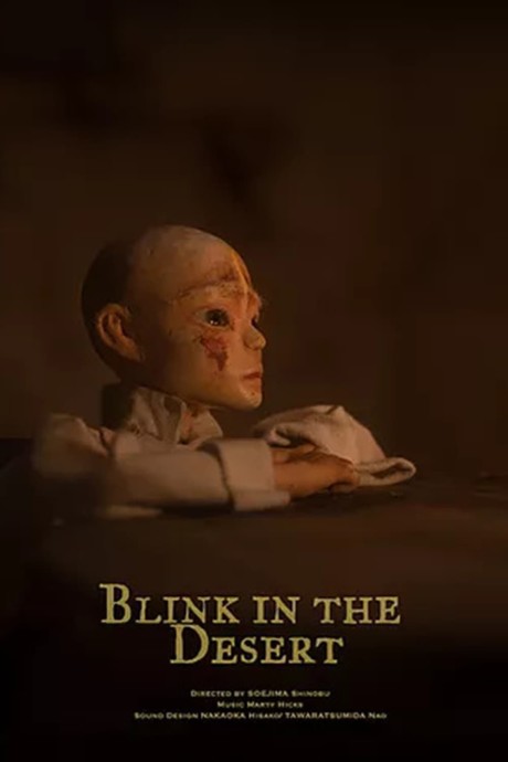 blink in the desert