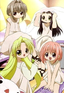 Okładka anime Bottle Fairy
