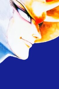 Devilman: The Demon Bird — okładka anime