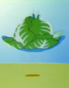 cabbage ufo okladka