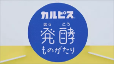 calpis hakkou monogatari okladka