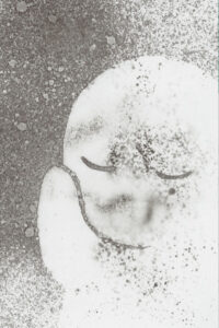 charon meiosei no kodoku