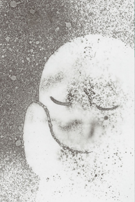 charon meiosei no kodoku