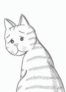 chiisana tayori ookina tayori