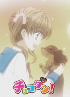 Chokotan! — okładka anime