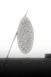 cocoon okladka