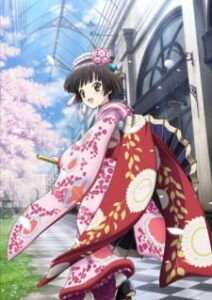 Croisée in a Foreign Labyrinth OVA — okładka anime