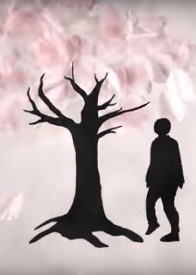 dare no tame ni sakura wa saku okladka