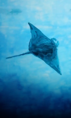 drop okladka 1