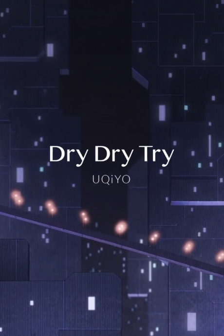 dry dry try okladka